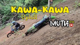 this is kawakawa uphill [upl. by Herrah]