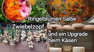 RingelblumenSalbe herstellen Zwiebelzopf flechten und ein echtes Upgrade beim Käsen [upl. by River]