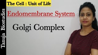 Cell  The Unit of Life  Endomembrane System  Golgi Complex  Dictyosomes  Class 11 BiologyNEET [upl. by Nichole]