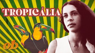 Beginners Guide to Tropicália  Off Beat [upl. by Apple]