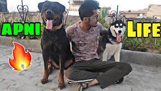 My Dogs Full Day😍😍 FoodTrainingwalk  Roxy And Cheeni  Review reloaded Rottweiler vs Husky [upl. by Edgard]