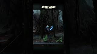 Star Wars Ambience  Meditate and Study the Jedi Arts on Dagobah with Music [upl. by Nuawaj]