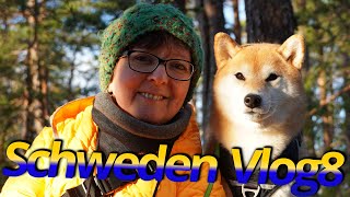 NordSchweden Winter Roadtrip F8 ⛐❄️ Nationalpark Tiveden Vättern See Jönköping Trelleborg ☃️ G8N [upl. by Otsenre]