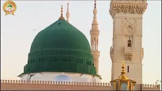 BAQAI QAFILA ZIYARAT ROJA E RASOOL saw Madina Sharif Saudi Arabia madina saudiarabia trending [upl. by Cristionna881]