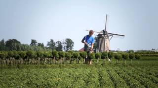 Werken in de boomkwekerij wwwtalentboomnl [upl. by Dnalwor]