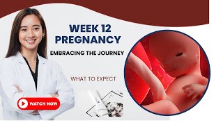 12 WEEKS PREGNANT  WHAT TO EXPECT [upl. by Anilok407]