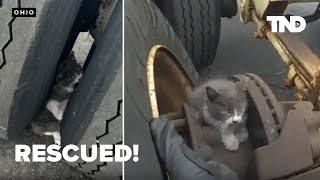 Mission Impawsible Poor kitten rescued from between the tires of a semitruck [upl. by Emiline662]