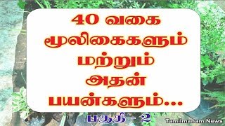 Herbs and their uses in tamil  40 herbal plants and their uses Part 2 [upl. by Wayne98]