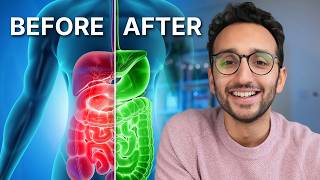 The Science of Gut Health amp Why It Matters [upl. by Ailito]