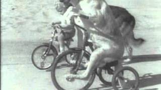 Fietsende honden 1936 [upl. by Etnaud639]