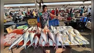 Kasimedu fish market Vada Chennai 🐠🐟🐟🐟 [upl. by Maximilien]