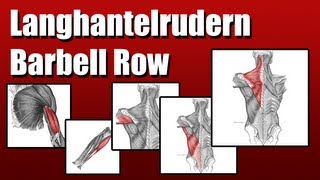 How 2 Langhantel Rudern Barbell Rows [upl. by Nosredneh]