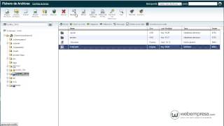 cPanel Administrador de Archivos [upl. by Alleinad]