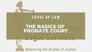 The Basics of Probate Court [upl. by Felton]