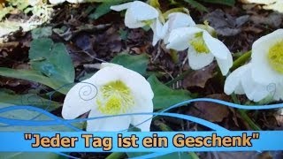 Jeder Tag ist ein Geschenk [upl. by Nylaf]