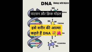 DNA और RNA🤗Watson and crick neetbiologygktricks love upp uptet shorts [upl. by Henrietta]