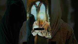 Hazrat Abbas Kon Hain muzakrat viralyoutubeshorts aunaliazadar shiashorts ahlebait yaabbas [upl. by Lothair]