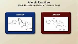 Important Side Effects and Toxicities Antibiotics  Lecture 8 [upl. by Nailij704]