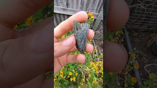 Beautiful epidote cluster thefinders gemstone [upl. by Atsyrc506]