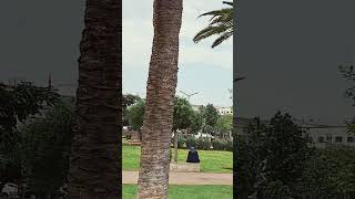 عمالة عين السبع الحي المحمدي البيضاء المغرب préfecture de Ain sbae hay mohamadi Casablanca morroco [upl. by Aerbas]