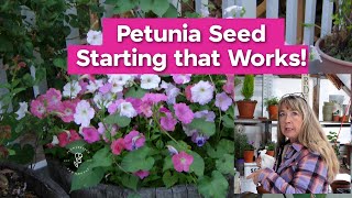 Petunia Seed Starting that Works [upl. by Aile]