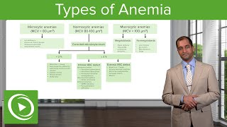 Anemia Microcytic Normocytic amp Macrocytic Type – Hematology  Lecturio [upl. by Siaht408]