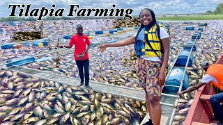 Tilapia Farming In Ghana’s Volta Lake Villa Awoyo Volta Region [upl. by Cressida727]