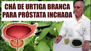 CHÁ DE URTIGABRANCA URTIGÃO CONTRA INCHAÇO DA PRÓSTATA [upl. by Anihsat]