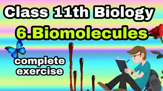 Class 11th Biology 6 Biomolecules exercise [upl. by Yumuk]