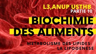 Biochimie des aliments  la Lipogenèse ANUP USTHB [upl. by Salkin]