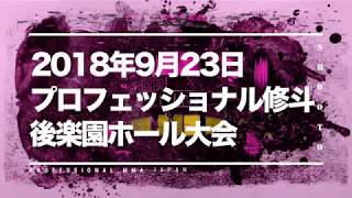 2018年9月23日 プロフェッショナル修斗公式戦 後楽園ホール大会 Trailer [upl. by Leeda78]