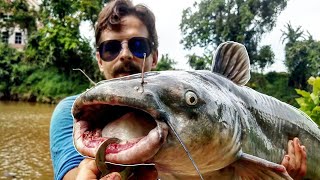 Food Chain Fishing Tiny Worms to GIANT CATFISH [upl. by Almeria743]