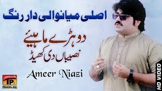 Sari Naseeban Diyan Khel  Ameer Niazi  Latest Song 2018  Latest Punjabi And Saraiki [upl. by Atteloiv]