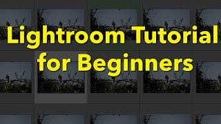 Lightroom Classic Tutorial for Beginners [upl. by Onafets671]