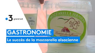 La Mozzarella alsacienne du domaine des Bufflonnes [upl. by Gabor]