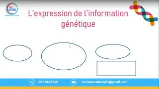 SVT bac science ‐ [upl. by Ankney567]