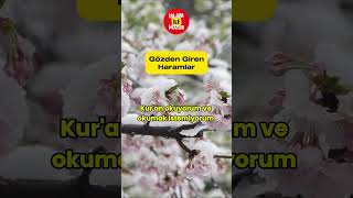 Gözden Giren Haramlar shorts shortvideo hayalhanem iman haram viralvideo namaz İslam [upl. by Koren297]