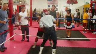 Boxing  Amateur vs Professional Sparring [upl. by Noral]