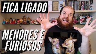 Por que cachorros pequenos podem ser tão bravos [upl. by Elimay]