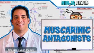 Autonomic Pharmacology  Muscarinic Antagonists [upl. by Bullivant]