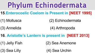 Phylum Echinodermata mcq  For NEET 2023  Class 11 Biology [upl. by Reffinej651]