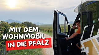 Die PFALZ lohnt sich immer🥰 ➡️Fahrradtour Weinberge amp Hundefestival PAWLOOZA [upl. by Nwahsauq]