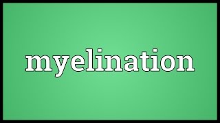 Myelination Meaning [upl. by Ecineg668]