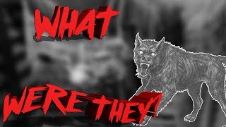 What Was The Hellhound Of Mons [upl. by Annahahs]