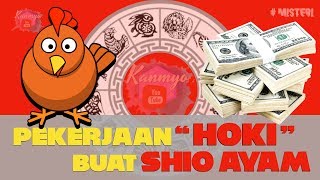 Pekerjaan HOKI SHIO AYAM  RAMALAN PERUNTUNGAN Shio AYAM dalam PEKERJAAN atau BISNIS yang HOKI [upl. by Wernda]