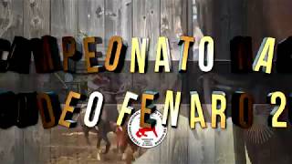 CAMPEONATO NACIONAL DE RODEO FENARO 2017 [upl. by Heather]