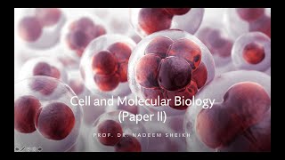 Topic 12 rRNA Transcription [upl. by Tavis]