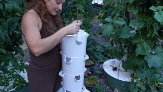 How a Vertical Tower Garden Works Assembling Your Hydroponic Tower System [upl. by Kcirddec]