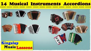 Accordion 14 Different Types Of Accordion  Musical Instruments [upl. by Ahseenat926]