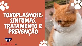 TOXOPLASMOSE SINTOMAS TRATAMENTO E PREVENÇÃO [upl. by Eustache]